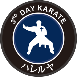 3rd day karate logo